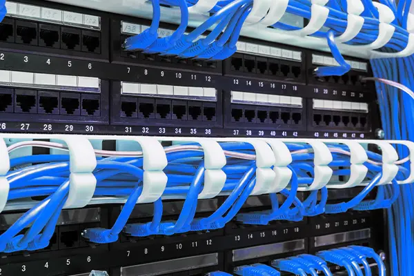 365体育官网_365体育亚洲官网